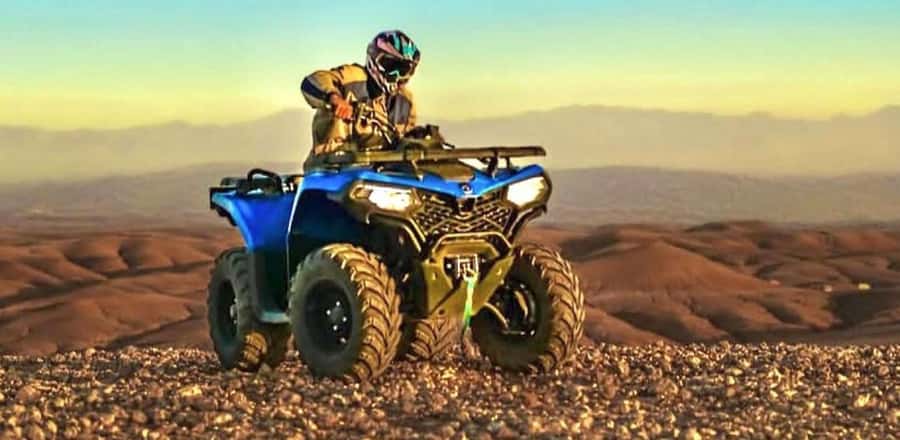 Marrakech: Agafay Desert Camel, Quad Bike & Dinner Show - Key highlights you’ll actually care about