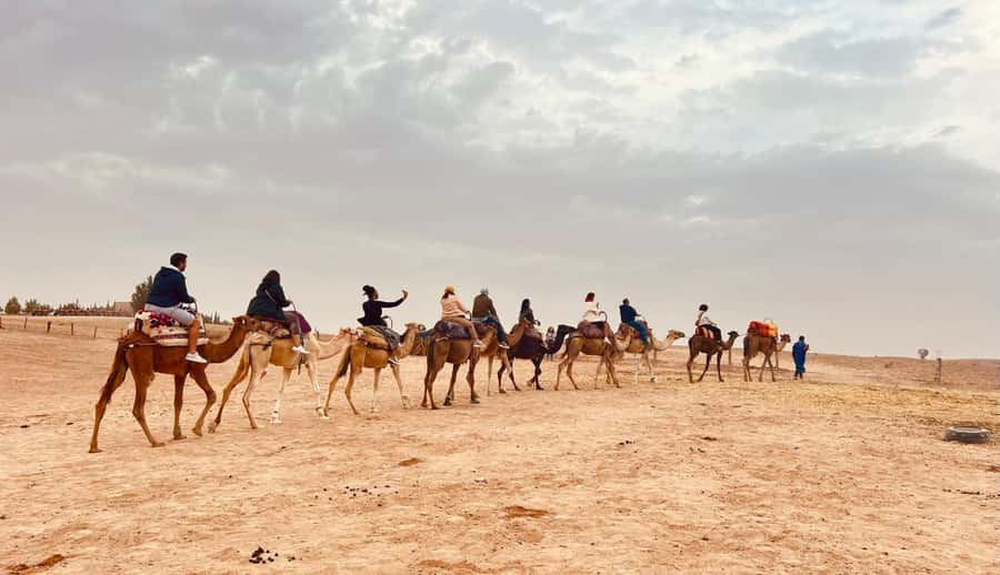 Marrakech: Agafay Desert Camel Ride, Dinner, Fire Show - Choosing This Tour: Who It Fits Best