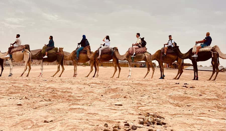 Marrakech Agafay Desert camel ride, Lunch & Swimming - Time, pacing, and who this suits best