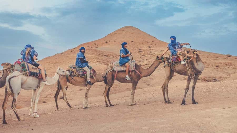 Marrakech: Agafay Desert Camel Ride & Quad with Dinner Show - Quad biking in Agafay: adrenaline with organization