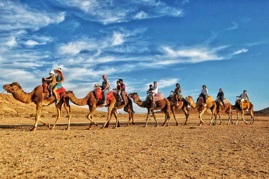 Marrakech Agafay desert: Camel Ride, Sunset, Dinner show - Fire show finale: the high-energy capstone
