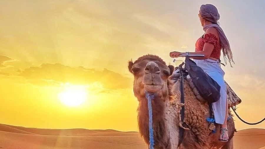 Marrakech Agafay desert: Camel Ride, Sunset, Dinner show - Price and value: why $10 can make sense here