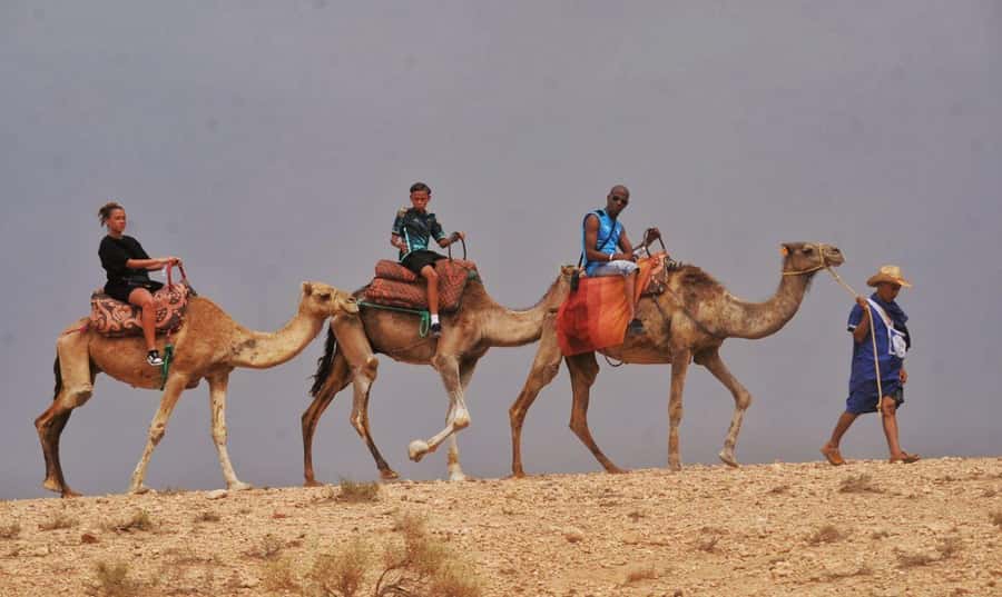 Marrakech Agafay desert: Camel Ride, Sunset, Dinner show - Timing: a 5-hour evening that starts late and ends after dark