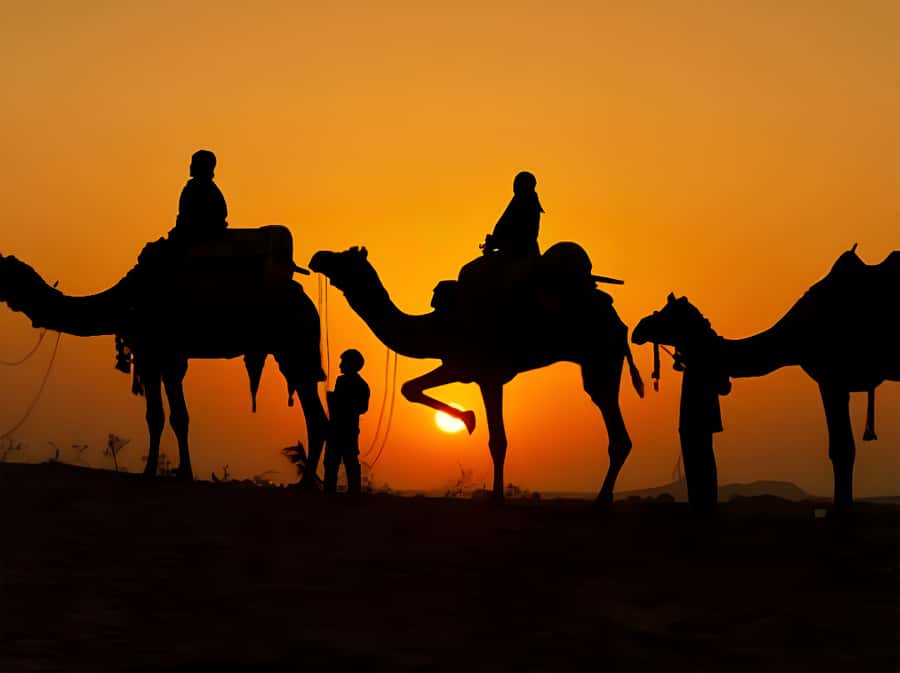 Marrakech: Agafay Desert Camel Ride with Dinner & Show - Live music, traditional performance, and the fire show