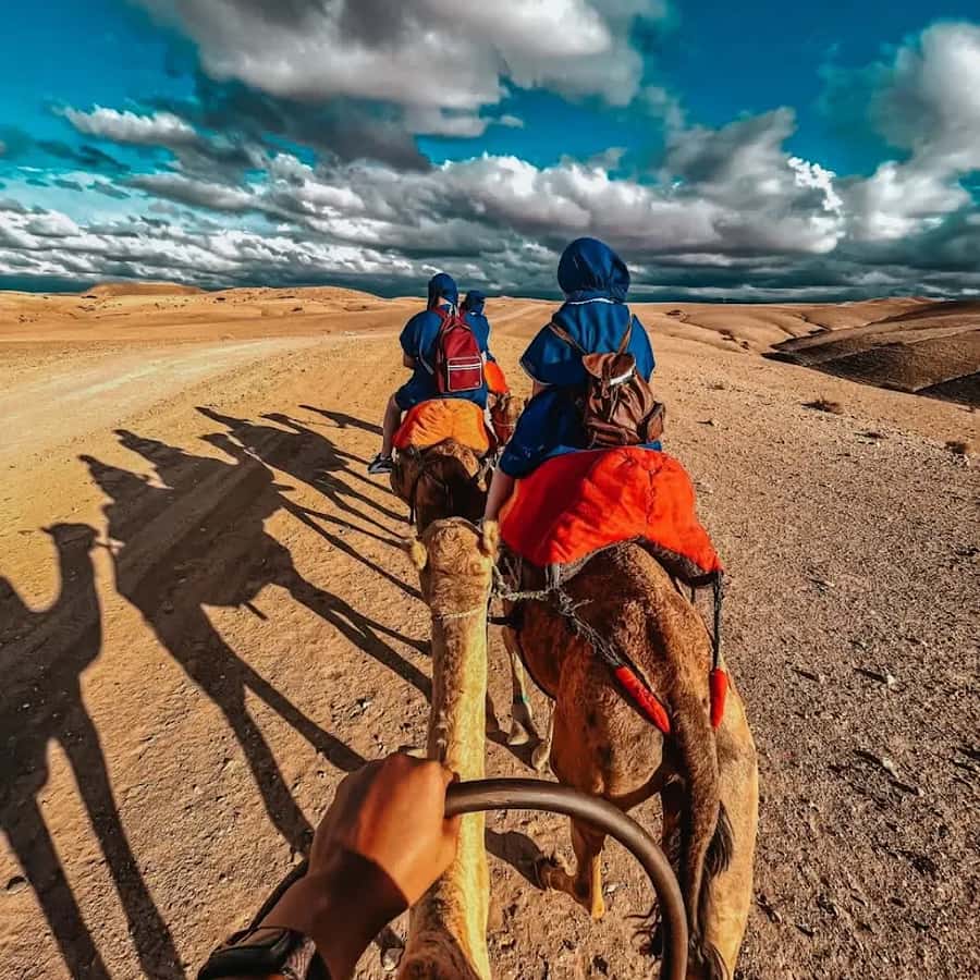 Marrakech: Agafay desert camel ride with dinner & spectacle - Argan Oil Cooperative Visit: More Than a Quick Photo Stop