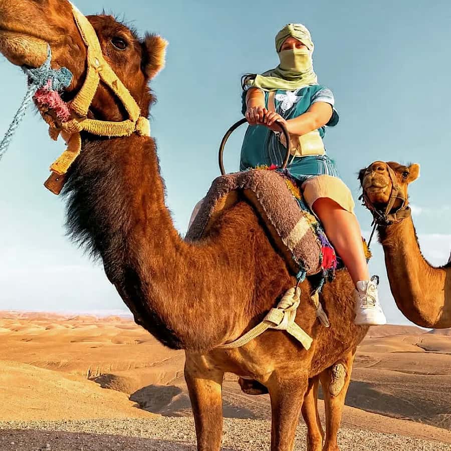 Marrakech: Agafay desert camel ride with dinner & spectacle - Who Should Book This Agafay Camel Ride and Dinner Show?