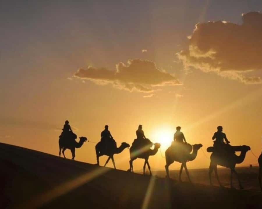 Marrakech: Agafay Desert Camel Rides, Dinner and Fire Show - Who Should Book This Agafay Experience?