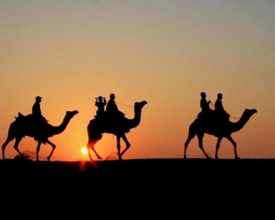 Marrakech: Agafay Desert Camel Rides, Dinner and Fire Show - From Marrakech to Agafay: The Desert Day That Actually Fits Your Schedule