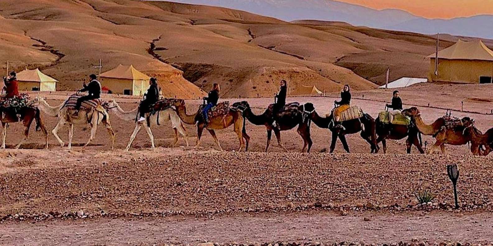 Marrakech: Agafay Desert Camel Rides, Dinner and Fire Show - The Real-World Downsides: Where This Trip Can Fall Short