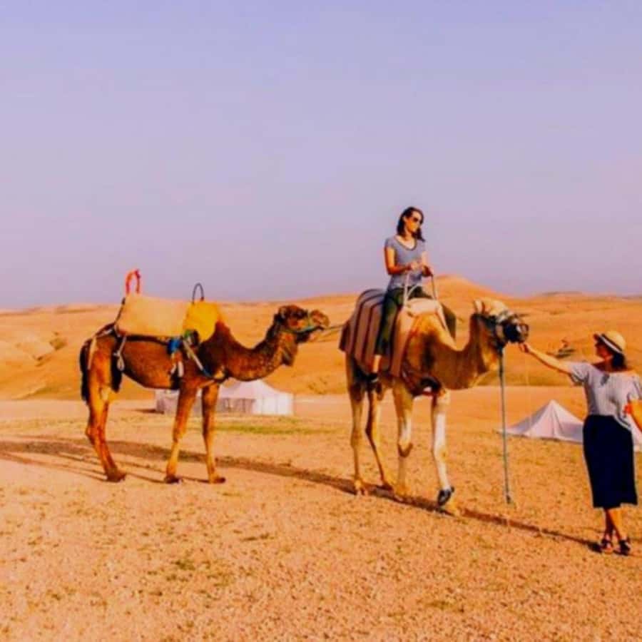 Marrakech: Agafay Desert Camp Lunch with Camel Ride and Pool - Who This Trip Fits Best (and Who Might Want Something Else)