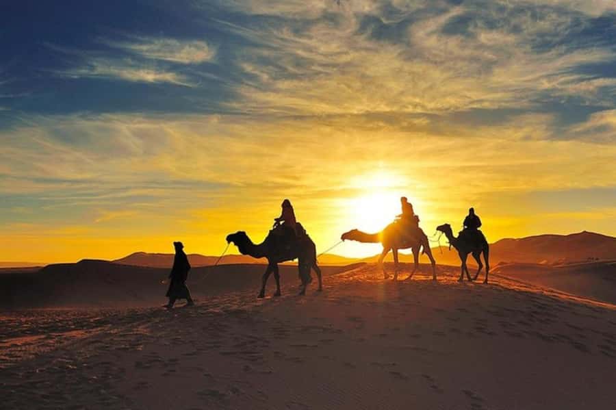 Marrakech: Agafay Desert Dinner and Sunset Camel Ride Trip - Agafay Desert Camp: Coffee, Tea, and Waiting for the Stars