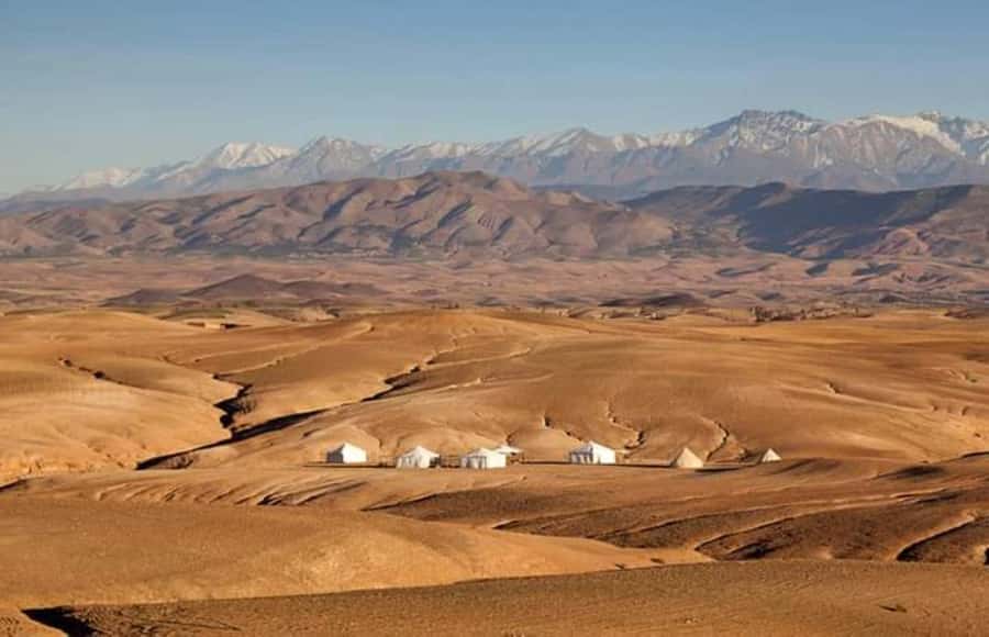 Marrakech: Agafay Desert Dinner and Sunset Camel Ride Trip - Should You Book This Agafay Desert Dinner and Camel Ride?