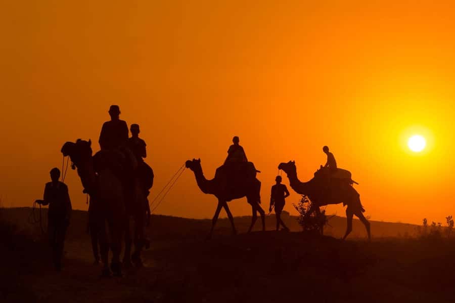 Marrakech: Agafay Desert Dinner, Camel Ride, and Music Show - Camel ride on the dunes: fun, but ask about animal care
