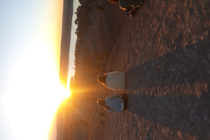 Marrakech: Agafay Desert Dinner, Camel Ride & Quad Biking. - Argan oil women’s cooperative: the stop that gives the evening a real thread