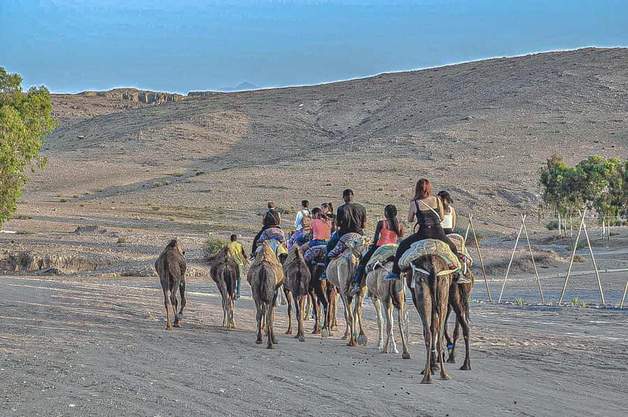 Marrakech: Agafay Desert Dinner, Camel Ride, & Show - Who This Agafay Evening Suits Best