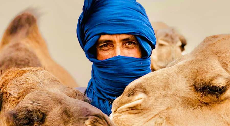 Marrakech: Agafay Desert Dinner, Camel Ride, & Show - The 20-Minute Camel Ride: Short, Scenic, and Best With Sun Protection