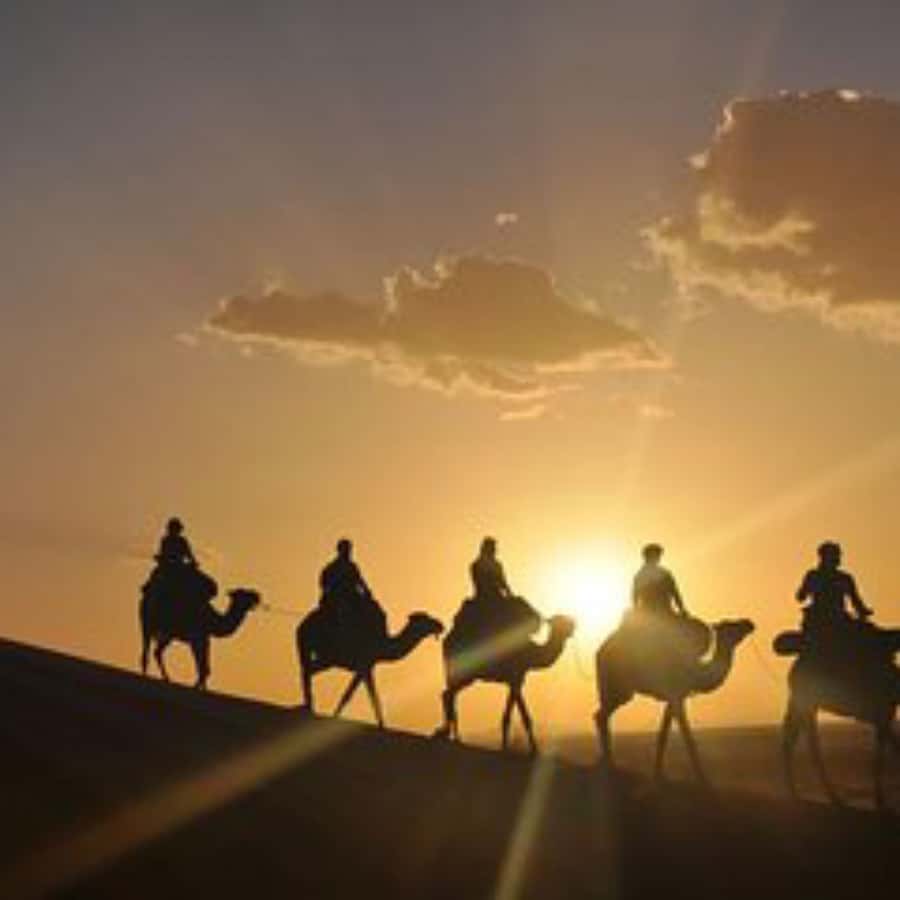 Marrakech: Agafay Desert Dinner with Music and Fire Show - Practical tips to get the best evening out of it