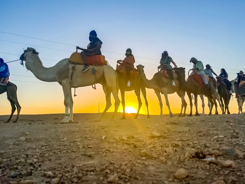Marrakech: Agafay Desert Escape with Quad or Camel Ride - Value check: what you’re paying for at about $29