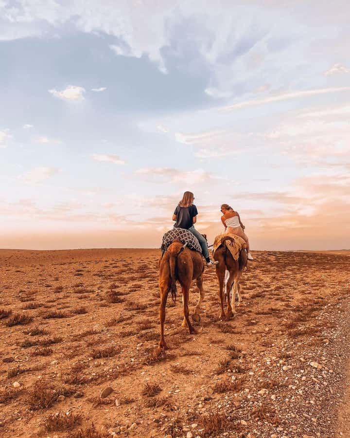 Marrakech: Agafay Desert Escape with Quad or Camel Ride - Moroccan dinner at the camp: tajine/couscous, dessert, mint tea