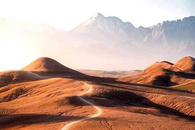 Marrakech: Agafay desert, Magical dinner & sunset and camel ride - Key Highlights You’ll Actually Feel