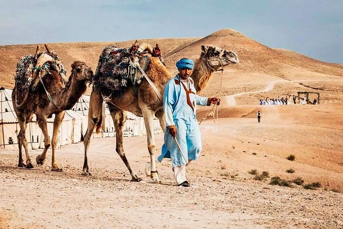 Marrakech: Agafay desert, Magical dinner & sunset and camel ride - Price and Value: Is $59.33 Fair for This Package?