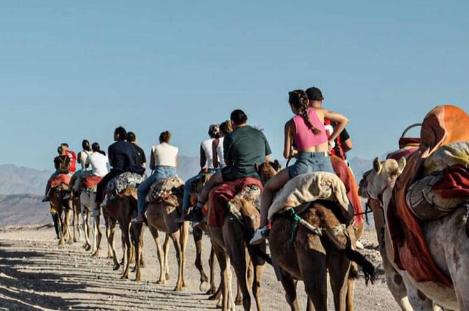 Marrakech: Agafay Desert Quad Biking & Camel Trek & Dinner & Show - The Argan Oil Women’s Cooperative Stop: Why It’s Included