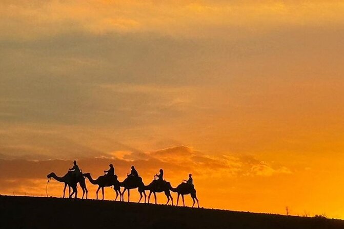 Marrakech: Agafay Desert Quad Biking & Camel Trek & Dinner & Show - What’s Included, What’s Not, and the Value Math