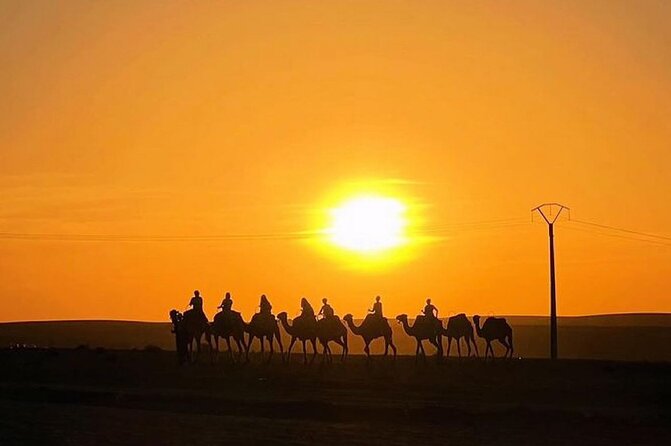Marrakech: Agafay Desert Quad Biking & Camel Trek & Dinner & Show - Logistics That Affect Your Comfort (More Than You Think)