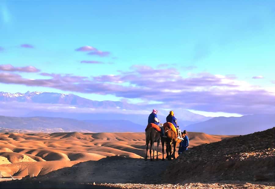 Marrakech: Agafay Desert Quad, Camel or Pool Day with Lunch - The pool break in a desert camp: where you’ll actually feel relief