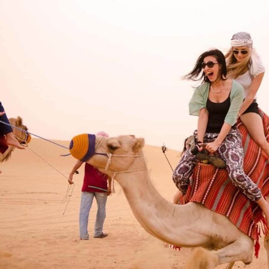 Marrakech: Agafay Desert Quad & Camel Rides Whit Dinner Show - Key Things to Know Before You Go