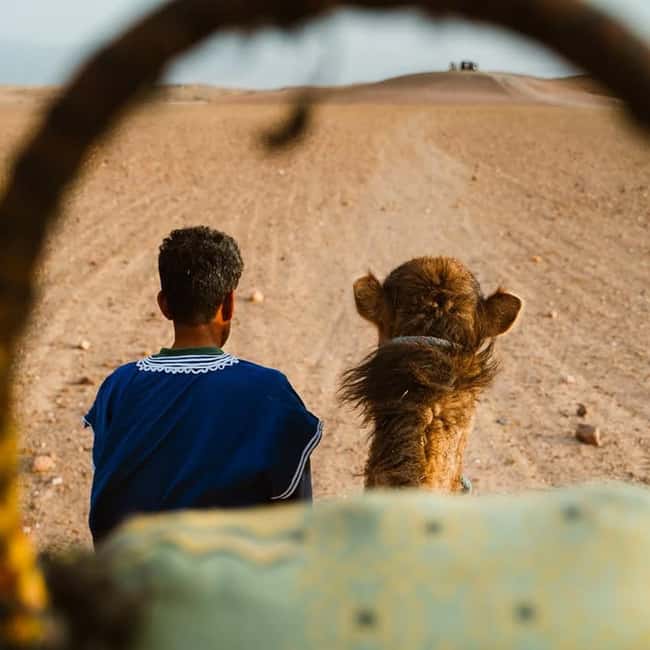 Marrakech: Agafay Desert Quad & Camel Rides Whit Dinner Show - What’s Not Included (So You Don’t Get Surprised)