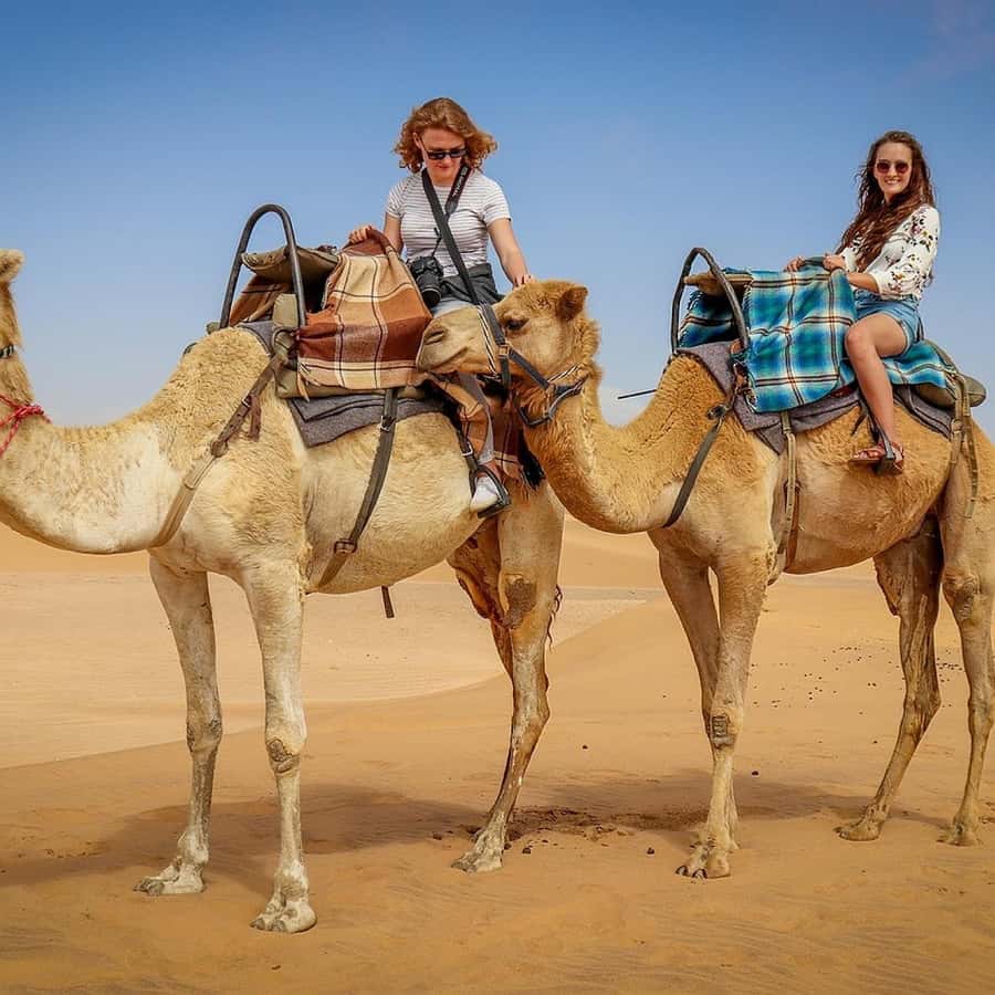 Marrakech: Agafay Desert Quad & Camel Rides Whit Dinner Show - What to Bring for Agafay Heat and Long Outdoor Time