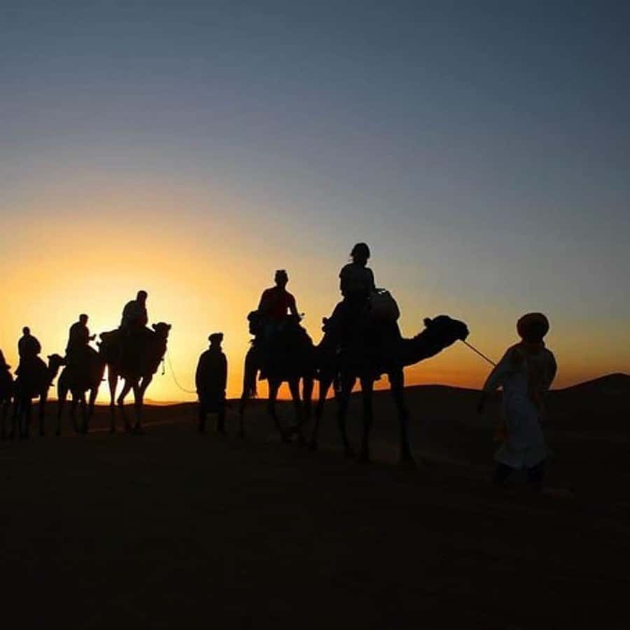 Marrakech: Agafay Desert Quad & Camel Rides Whit Dinner Show - Quad Biking in the Agafay Desert: Fun, Fast, and Safety-Forward