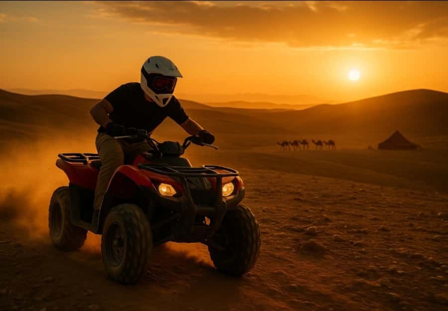 Marrakech: Agafay Desert Quad & Camel Rides with Dinner Show - Who should book this Agafay quad and camel dinner show