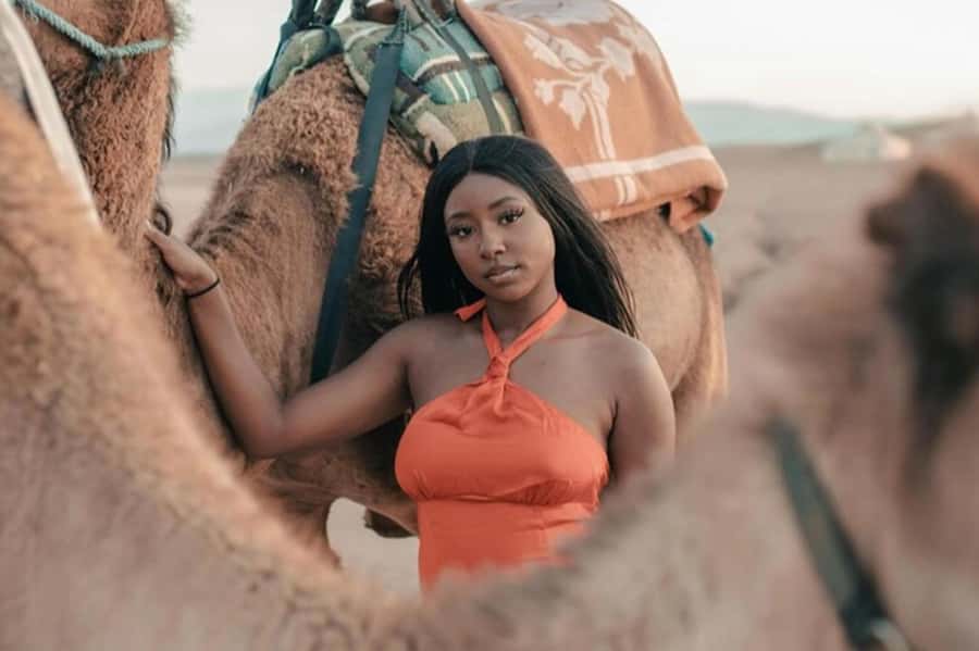 Marrakech: Agafay Desert Quad, Camel, Sunset Dinner & Show - Key things I’d focus on before you go