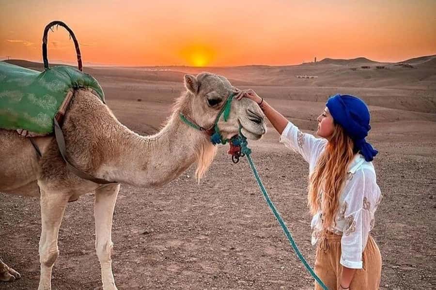 Marrakech: Agafay Desert Quad, Camel, Sunset Dinner & Show - Gnawa music and the fire-eater show: a loud ending worth staying for