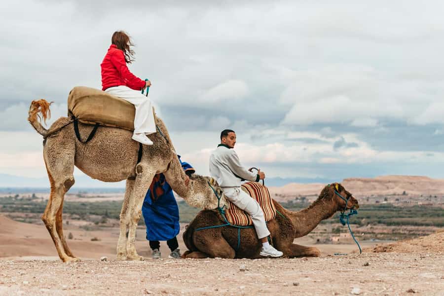 Marrakech: Agafay Desert Retreat, Tent, Dinner, Show & Pool - Camp setup and pools: comfort with real outdoor charm