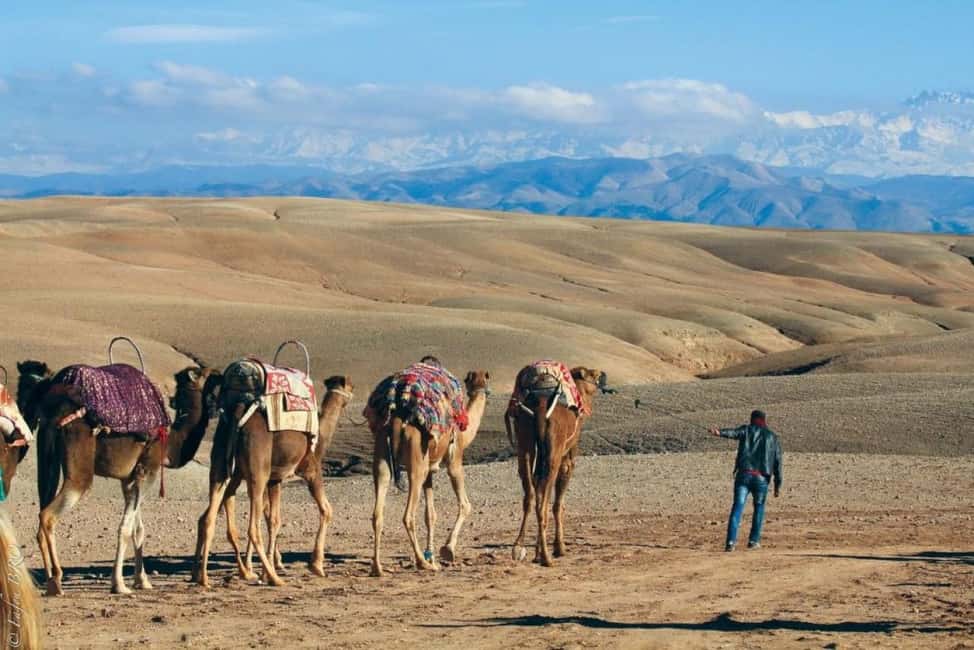 Marrakech: Agafay Desert Sunset, Camel Ride, Dinner and Show - Key highlights worth showing up for