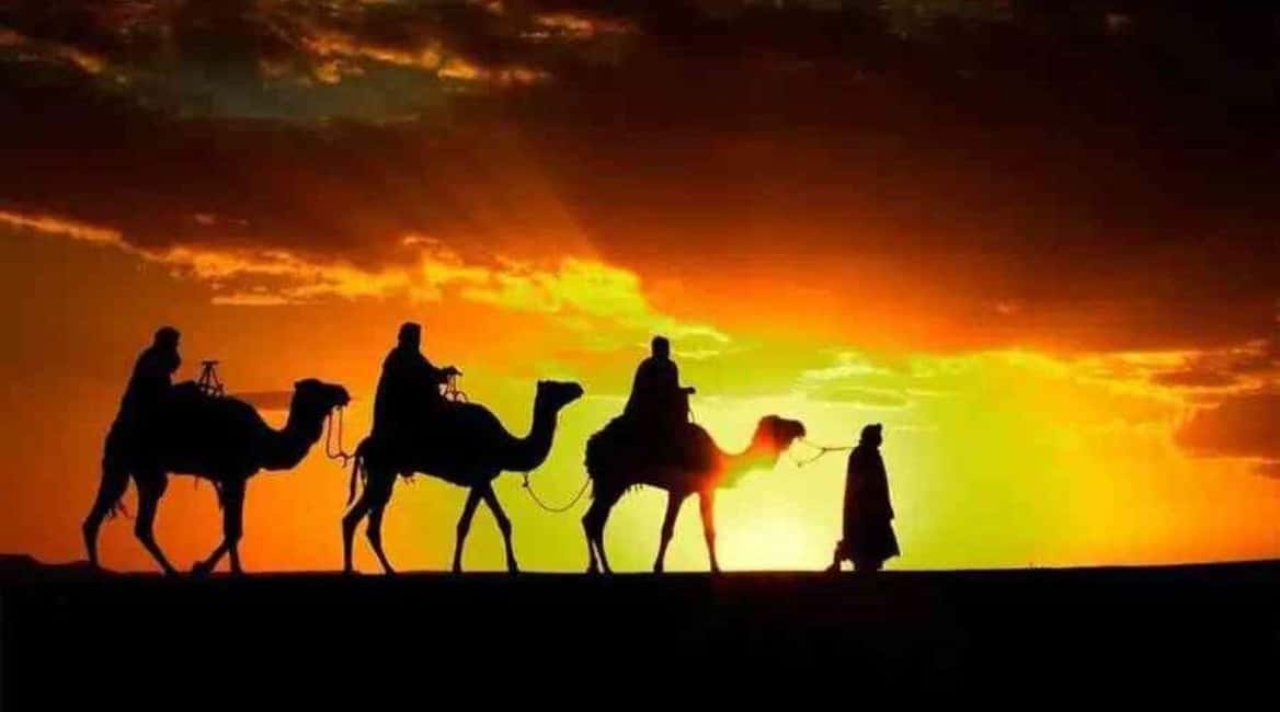 Marrakech: Agafay Desert Sunset, Camel Ride, Dinner and Show - Camel Ride in the Agafay: Trained Camels and a Sunset Route