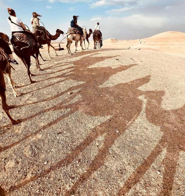 Marrakech: Agafay Desert Sunset, Camel Ride, Dinner and Show - Who This Sunset Camel-and-Show Trip Fits Best
