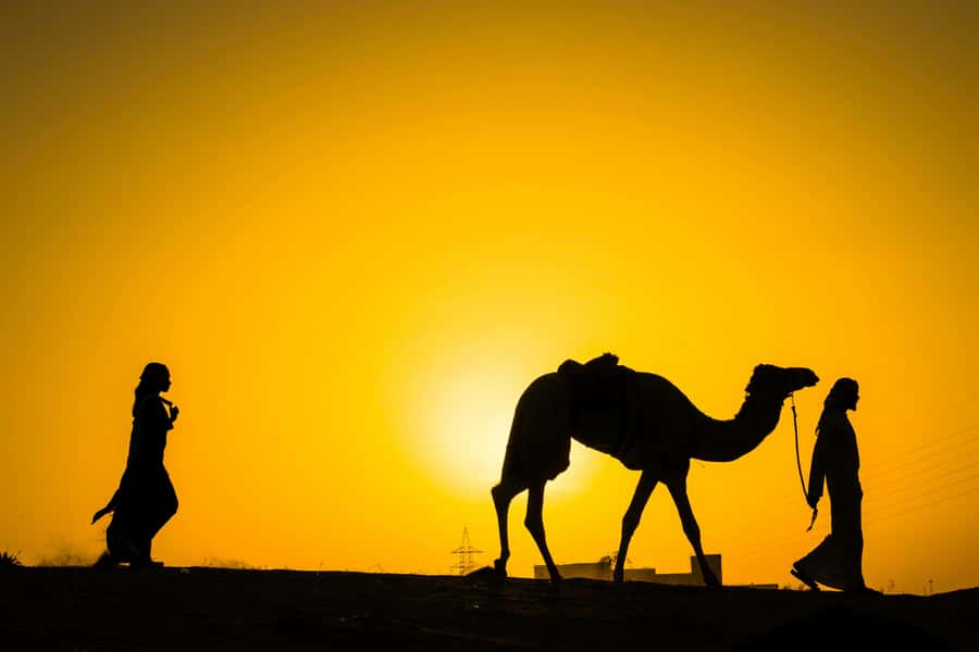 Marrakech : Agafay Desert Sunset Camel Ride & Luxury Dinner - Key things to know before you go