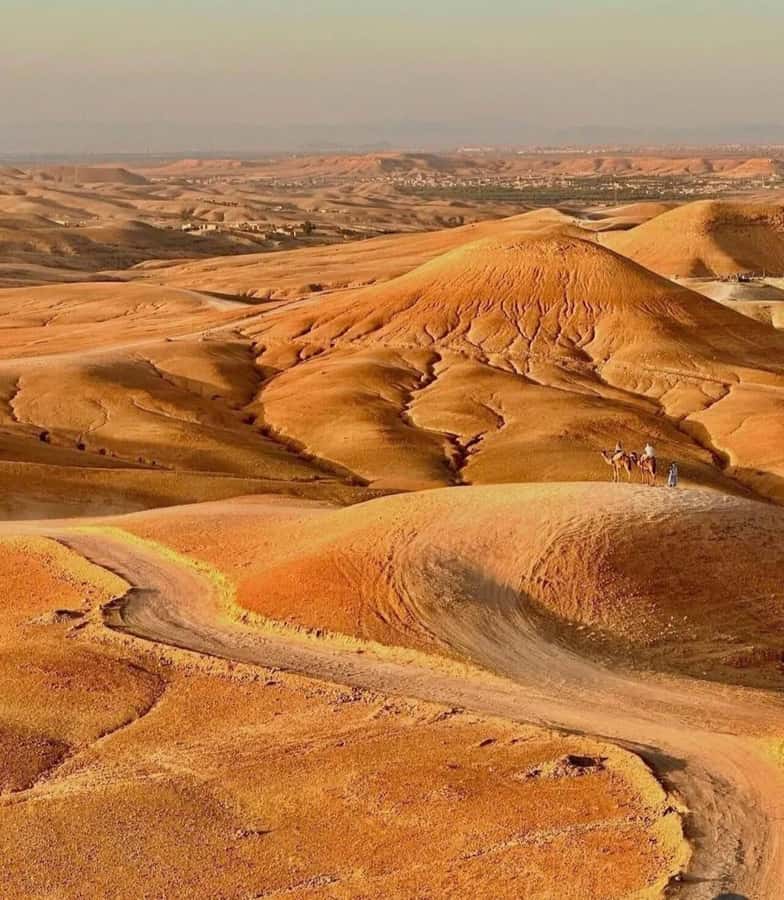 Marrakech : Agafay Desert Sunset Camel Ride & Luxury Dinner - Should you book this Agafay sunset camel ride and dinner?