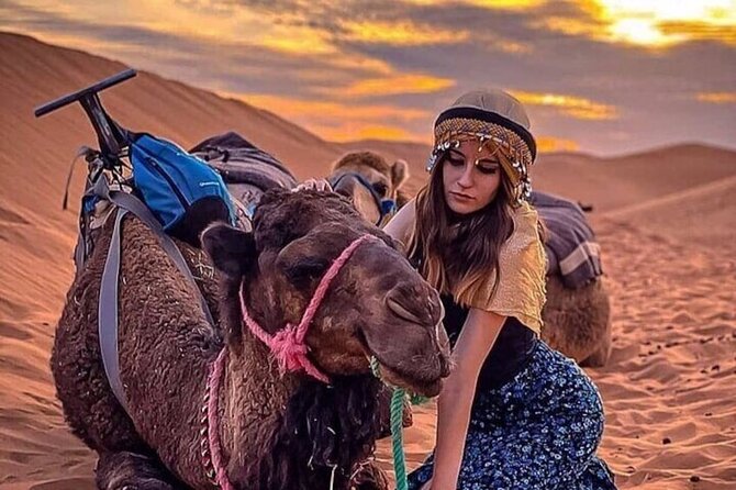 Marrakech: Agafay Desert, Sunset Camel Ride with Dinner Show - Price and Value: Is $27.86 Worth It?