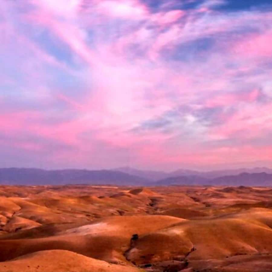 Marrakech: Agafay Desert Sunset Dinner with Show &Camelr ide - Camel ride at sunset: photos, timing, and expectations
