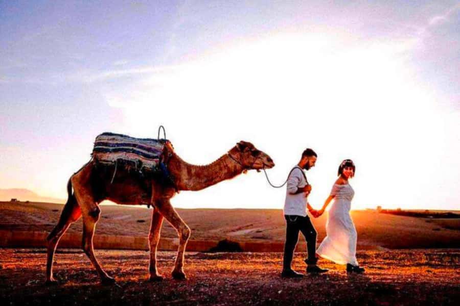 Marrakech: Agafay Desert Sunset Dinner with Show &Camelr ide - Price and value: is $45 fair for a 4-hour desert evening?