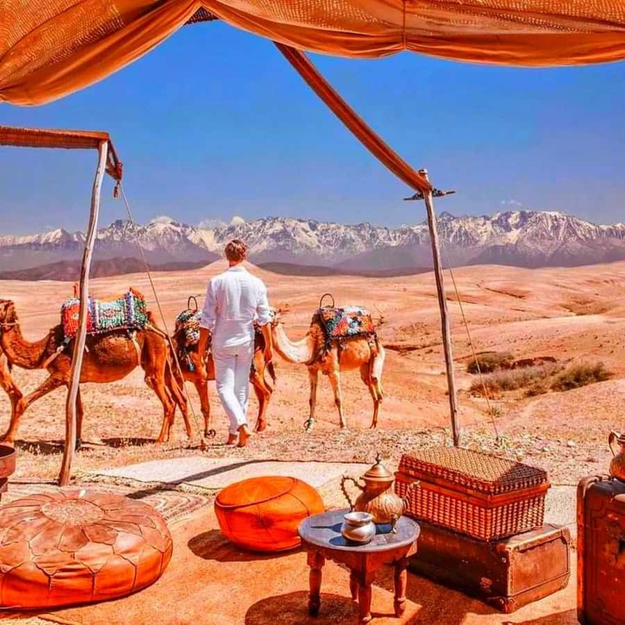 Marrakech: Agafay Desert Sunset Dinner with Show &Camelr ide - Argan Oil Women’s Cooperative: what you’ll actually see