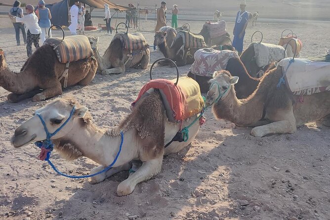 Marrakech: Agafay Desert Tour with Quad, Camel Ride & Dinner - Bonfire Warm-Up Before Dinner