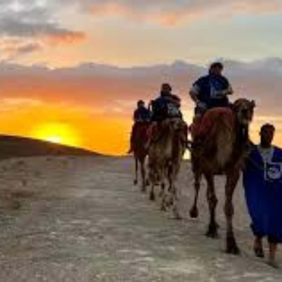 Marrakech: Agafay Desert with Dinner and Camel ride, Show - Heading Out From Marrakech: Hôtel Islane Pickup Near Koutoubia