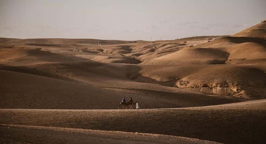 Marrakech: Agafay Ds Sunset with Dinner, Show & Tuareg Music - Optional camel ride: fun add-on, but choose your comfort level