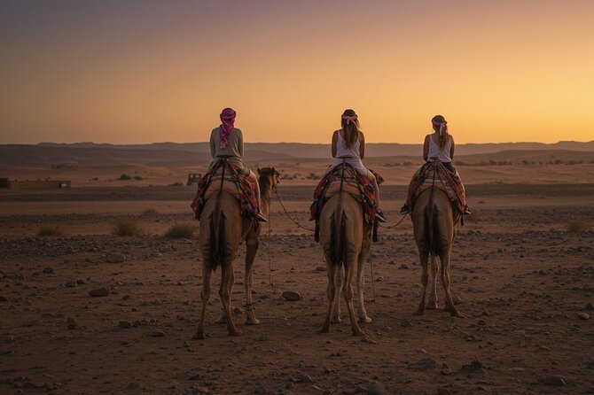 Marrakech Agfay Desert Camel Ride and Dinner Show - Dinner Under the Berber Music: The Food and the Show Work Together